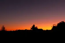 P1420154.webp
