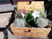 IMG-20190921-WA0000.webp