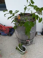 IMG_20190922_180316.webp
