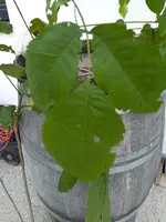 IMG_20190922_180323.webp