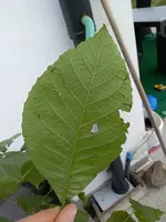 IMG_20190922_180337.webp