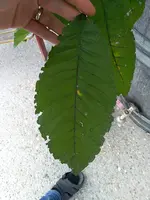 IMG_20190922_180356.webp