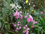DSC00667.JPG