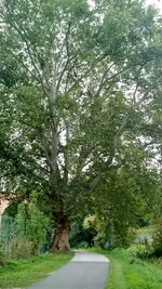 IMG_20190923_152946321.jpg