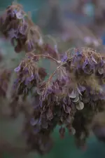 0M3A2114[1].webp