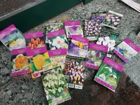 20190923_182643.webp 20190923_182643.webp