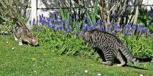 IMG_6979 v (2).webp