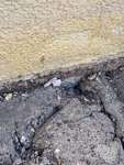 IMG_2406.JPG