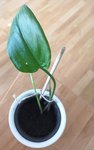 Test 2.jpg
