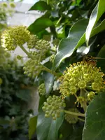 13_09_2019 (14).webp