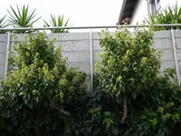 13_09_2019 (18).webp