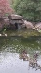 20190924_184035.jpg