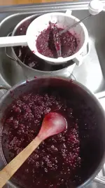 Brombeerkonf.webp