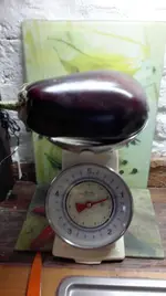 Aubergine4.webp