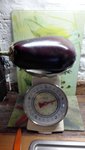 Aubergine4.jpeg