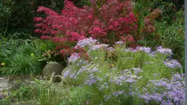 P1200041.webp