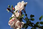 image004.jpg