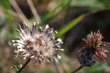image003.webp