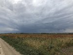 IMG_8570.JPG