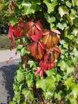 20190927_125341.jpg