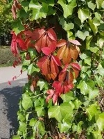 20190927_125341.webp