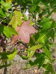 20190927_134431.jpg