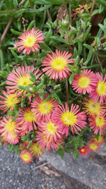 20190927_135910.webp