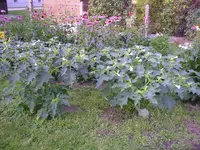 27_09_2019 (72).webp