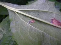 27_09_2019 (53).webp