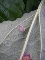 27_09_2019 (54).webp