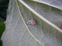 27_09_2019 (59).webp