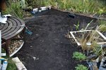 DSC08339.JPG