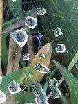 IMG_3355.JPG