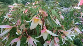 DSC_1052 (2).webp