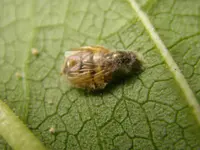 28_09_2019_a1 (4).webp