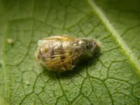 28_09_2019_a1 (1).webp