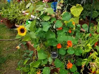 20190922_153731_resized(1).jpg