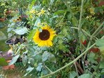 20190921_170713_resized.jpg