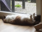20190615_133444.jpg