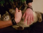 20190329_201254.jpg