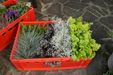 Herbst0219.webp