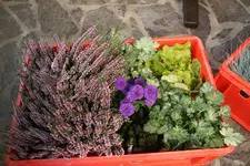Herbst0319.webp