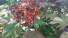 DSC_1116 (2).webp
