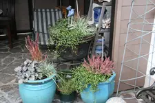 Terasse  5618.webp
