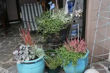 Terasse  5818.webp
