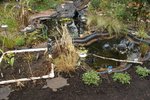DSC08344.JPG