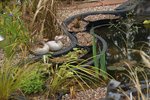 DSC08345.JPG