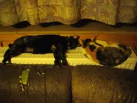 IMGP8185.webp