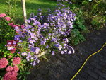 DSC00671.JPG