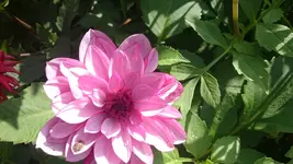 DSC_1066 (2).webp